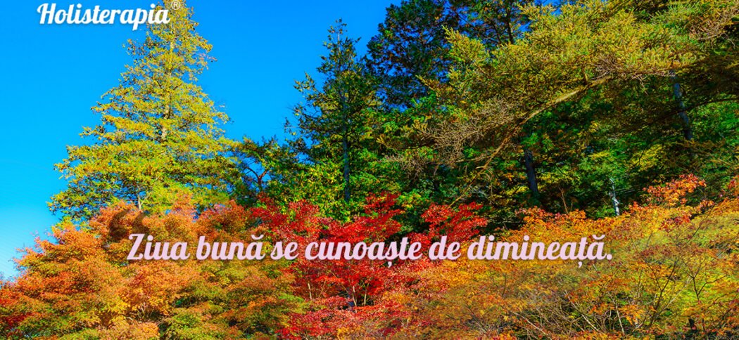 Ziua bună se cunoaște de dimineață