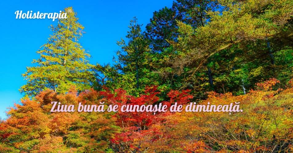 Ziua bună se cunoaște de dimineață