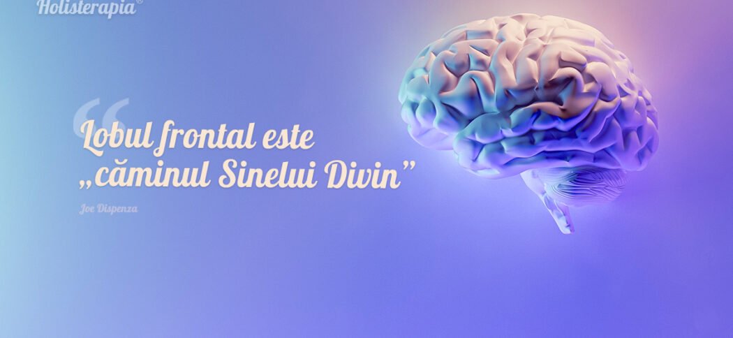 Lobul frontal şi puterea de concentrare. Niculina Gheorghiță