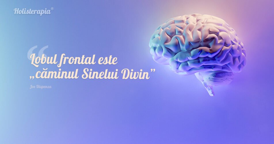Lobul frontal şi puterea de concentrare. Niculina Gheorghiță