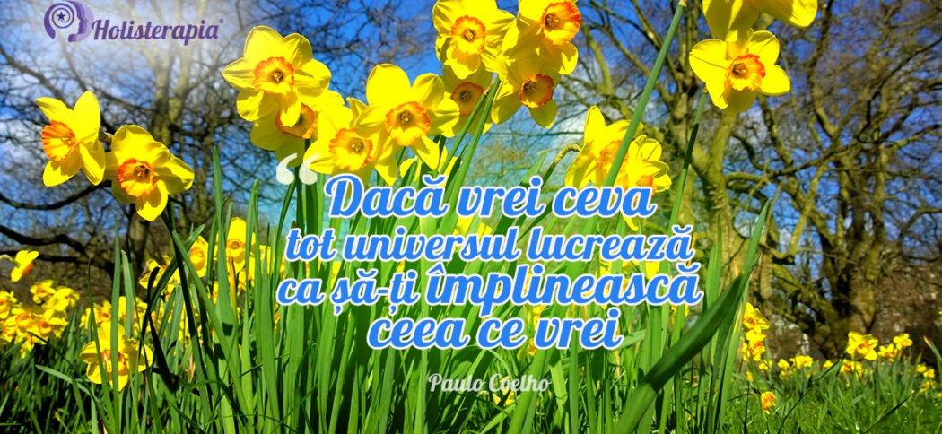 Creăm realitatea prin ceea ce suntem