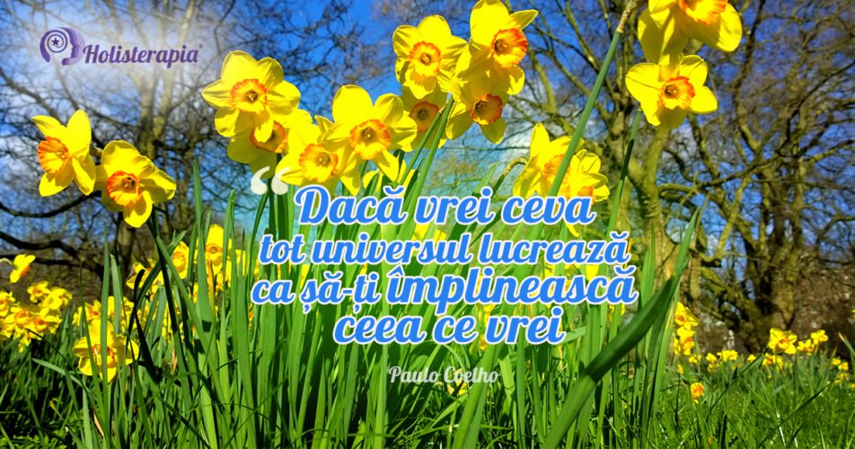 Creăm realitatea prin ceea ce suntem
