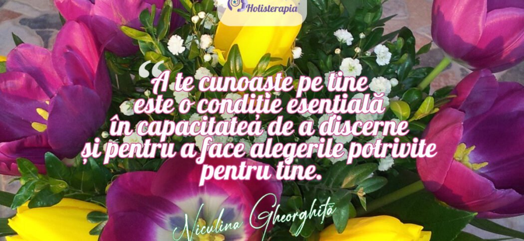 Dezvoltarea discernământului. Niculina Gheorghita