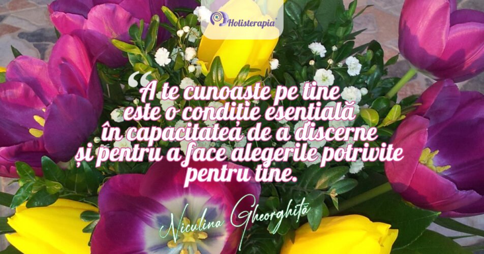 Dezvoltarea discernământului. Niculina Gheorghita